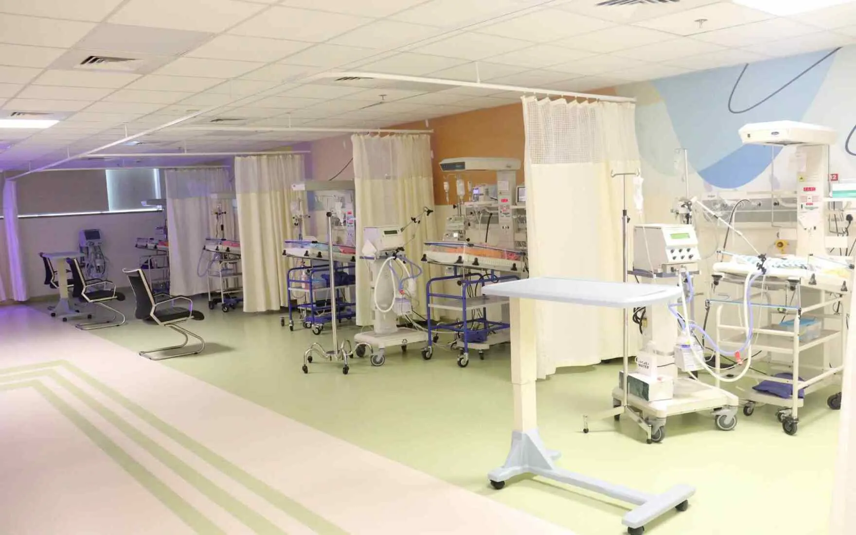 cultural experiences